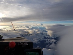 Pyrenees