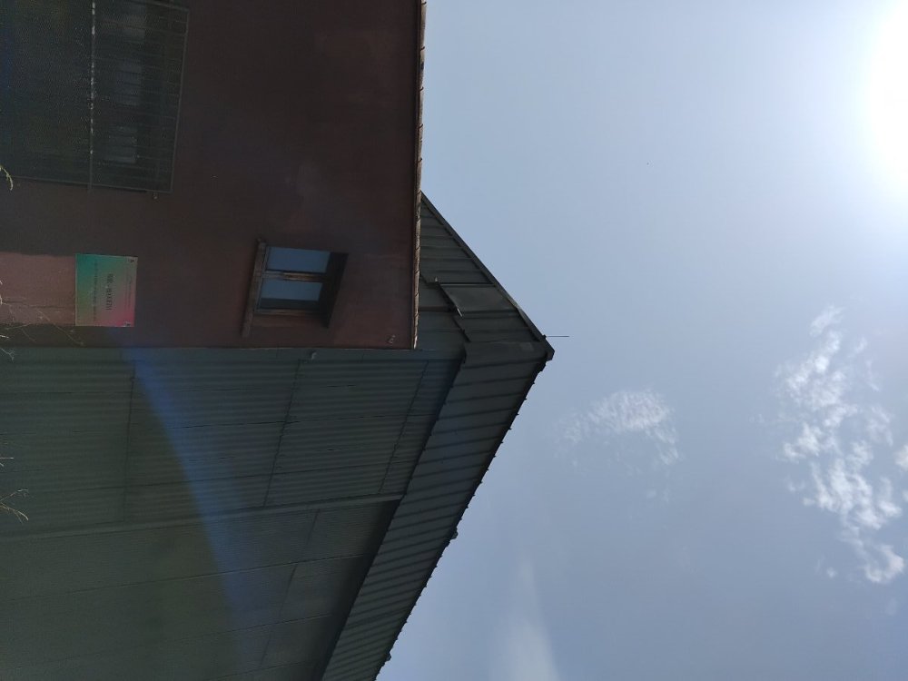 IMG_20250614_145124.jpg